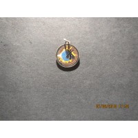 NASA Skylab 1 Charm 